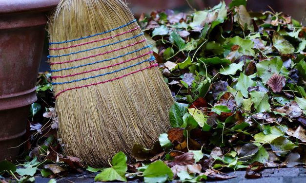 Nachhaltige Gartenarbeit im Herbst: So bereitest du deinen Garten ökologisch auf den Winter vor